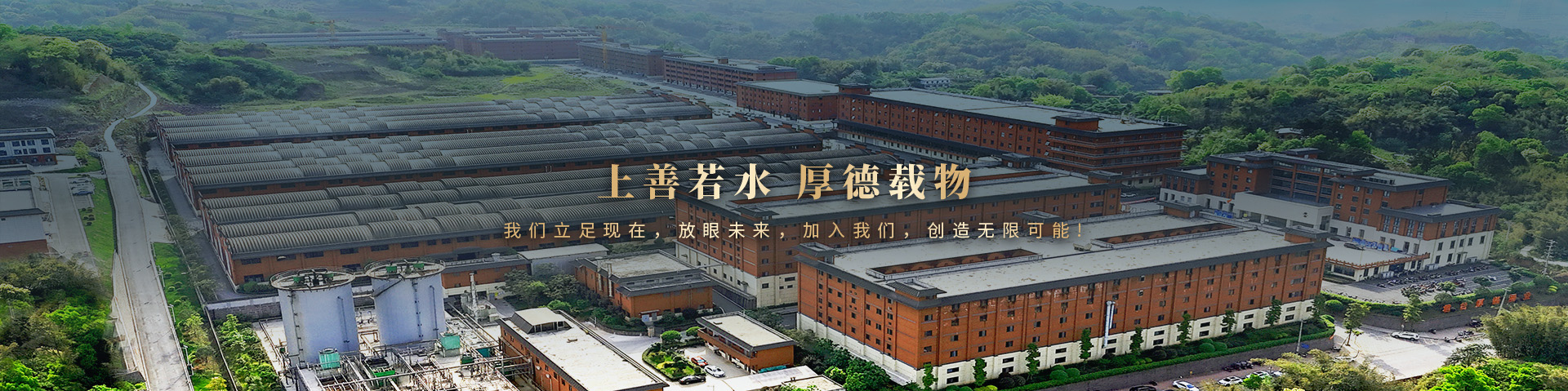 新闻资讯